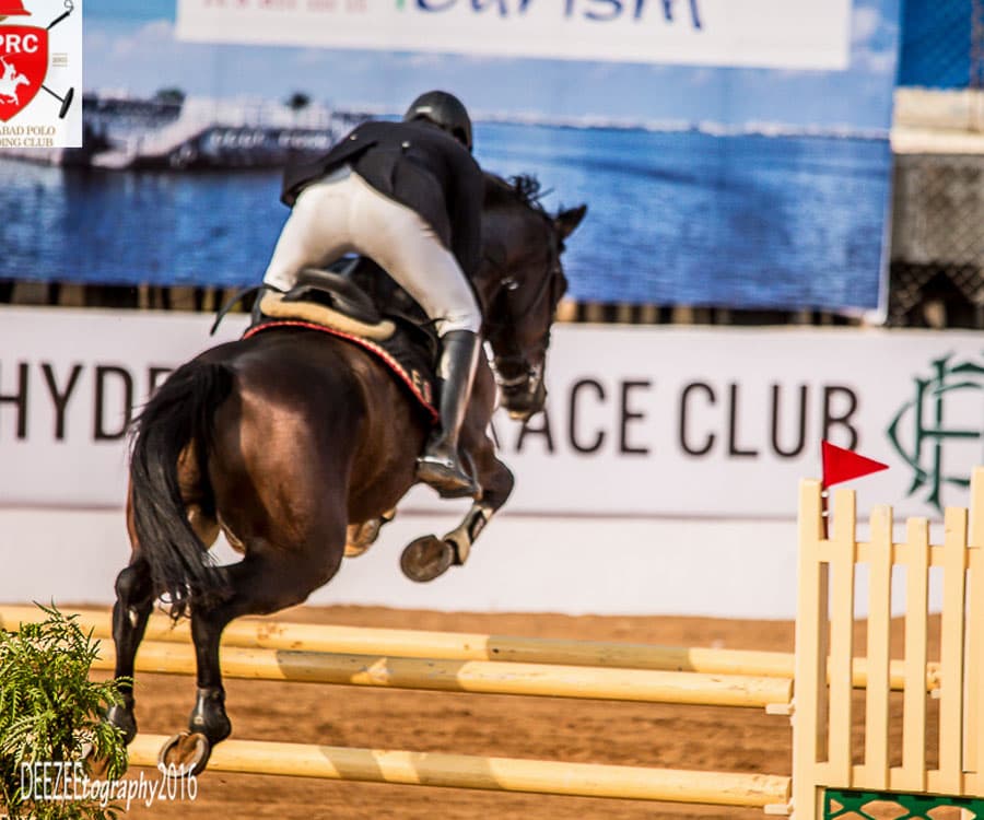 Show Jumping by Nick Skelton