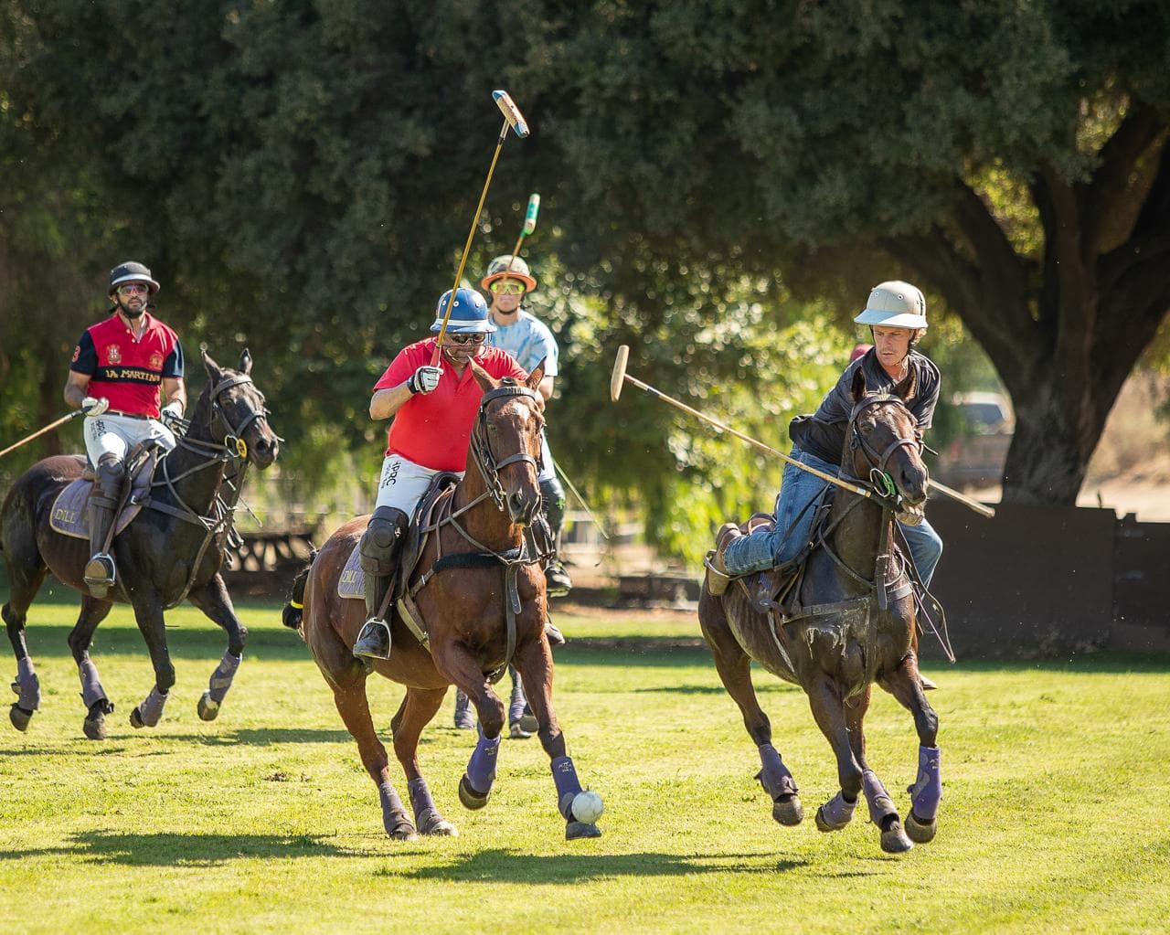 HPRC San Diego 2024 - day ball chase