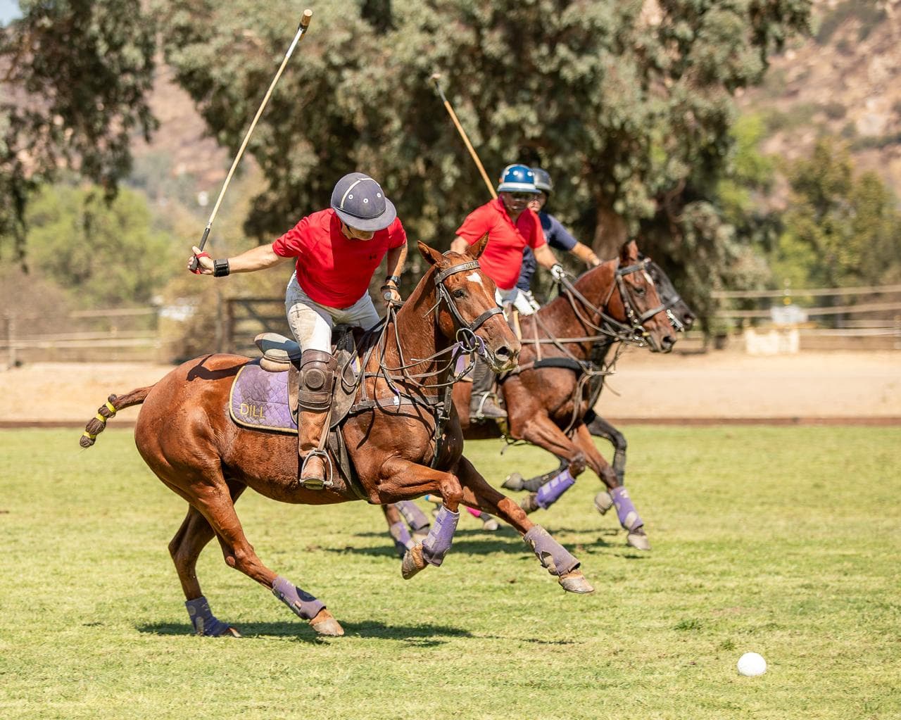 HPRC San Diego 2024 - day polo strike