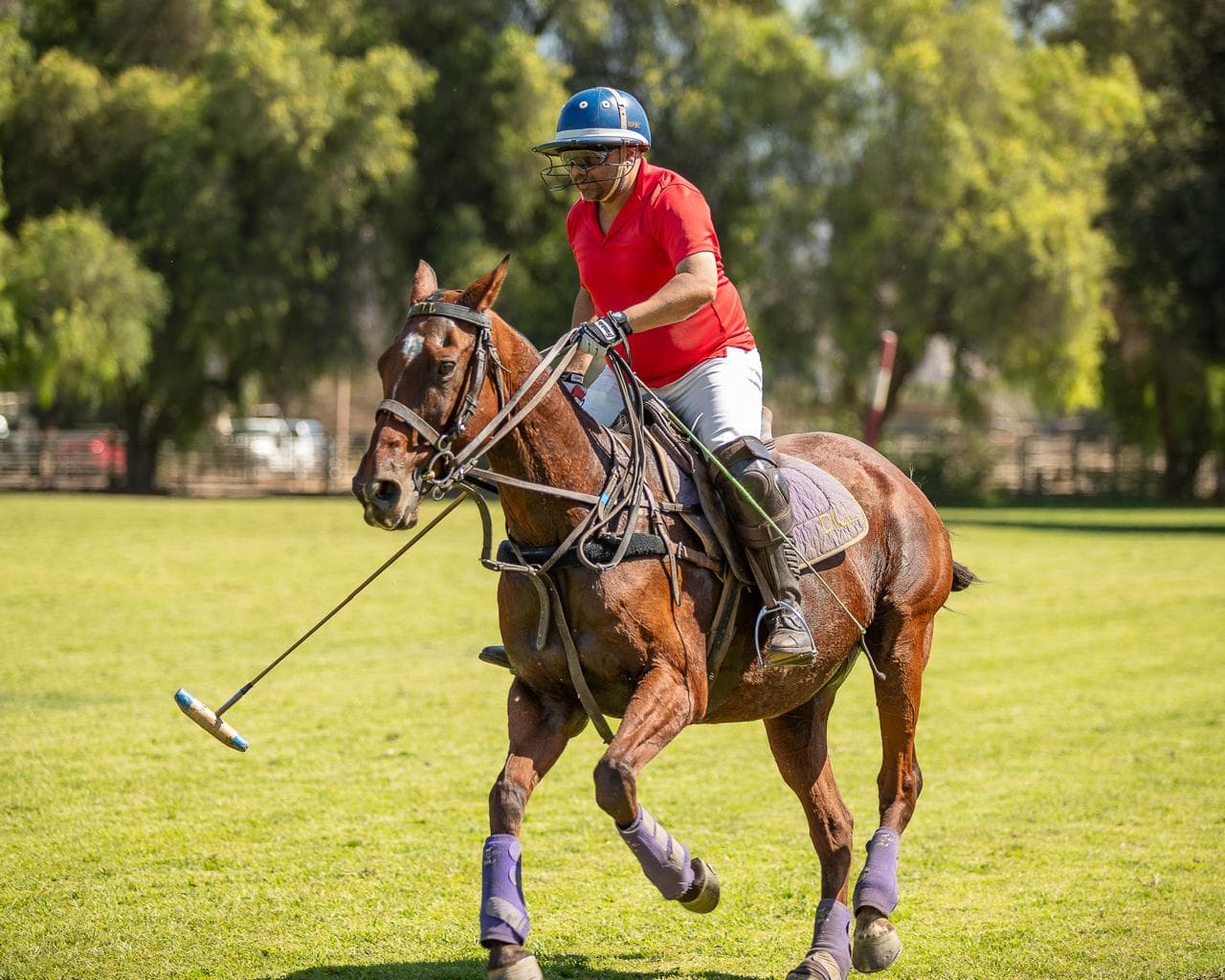 HPRC San Diego 2024 - rider on brown horse