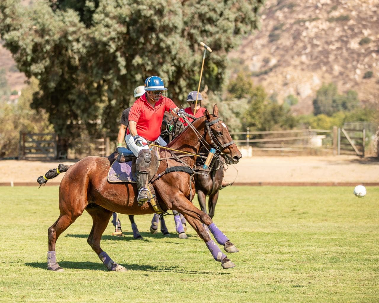 HPRC San Diego 2024 - rider with ball