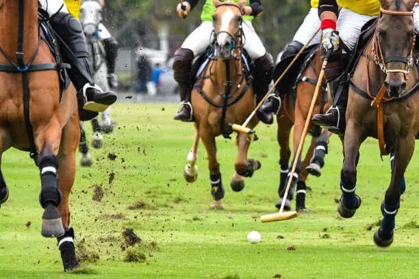 Hyderabad hosts national polo team's intensive camp for FIP world championship playoffs
