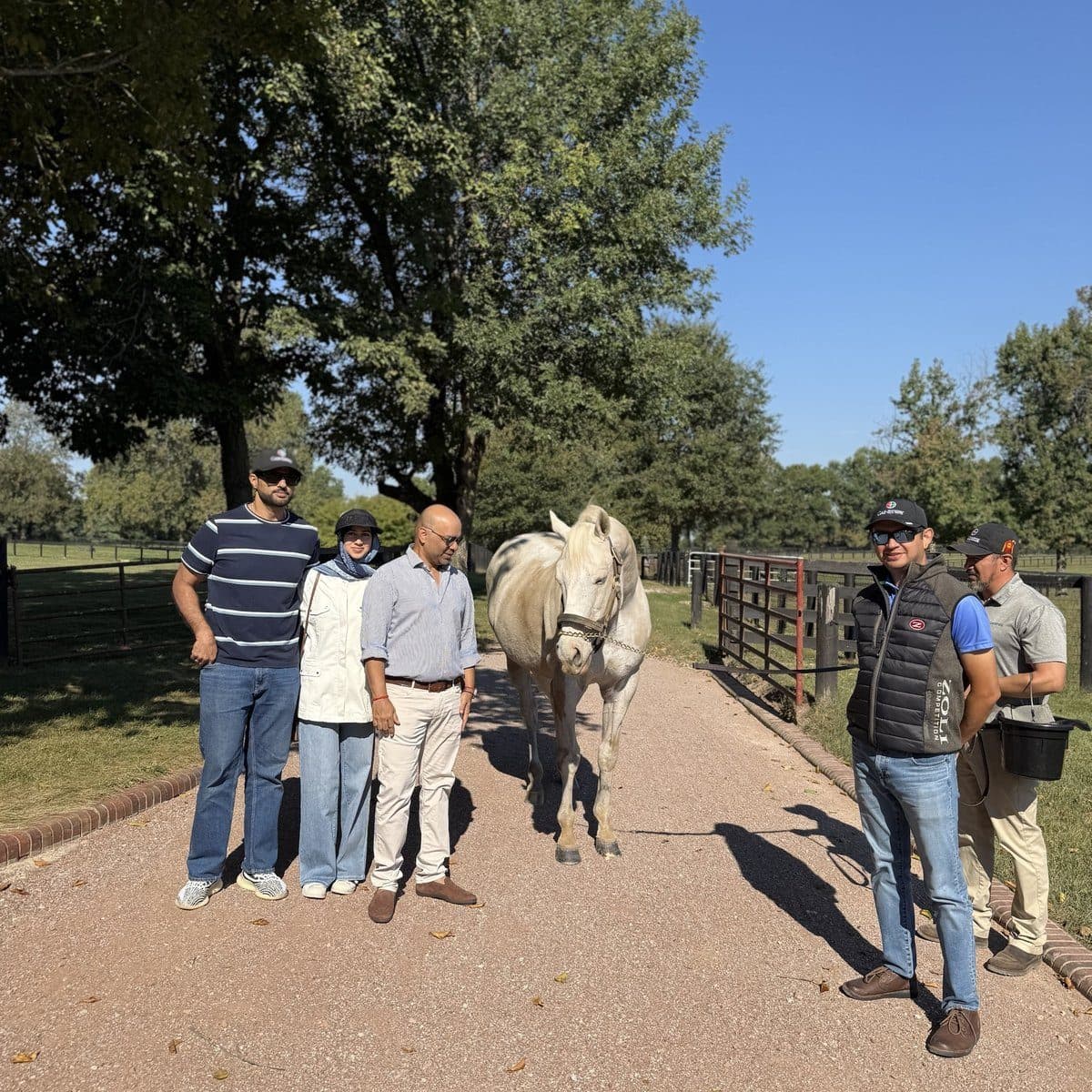 Tapit at Gainesway Farm