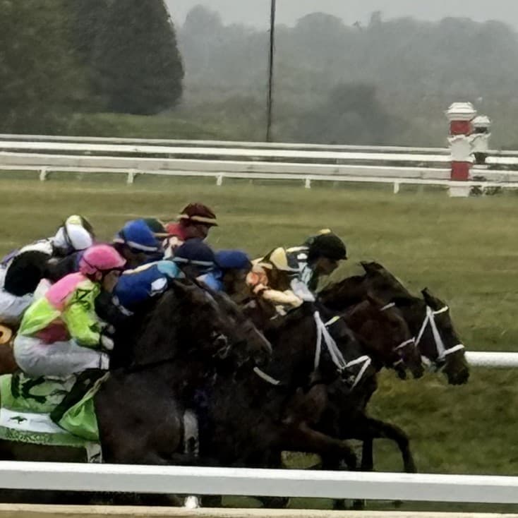 The field turns for home in the Darley Alcibiades at Keeneland