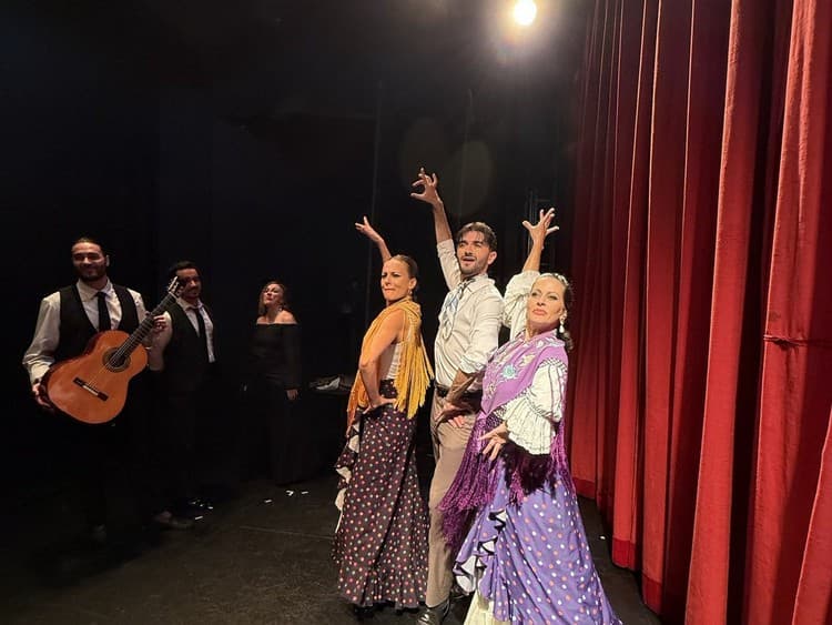 Flamenco performance at the Teatro Flamenco in Madrid