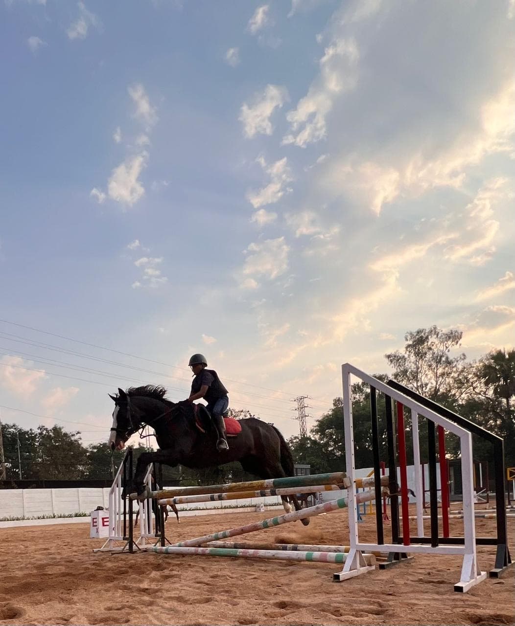 Mereddy Akshaj Reddy — 3rd, Dressage — Children I