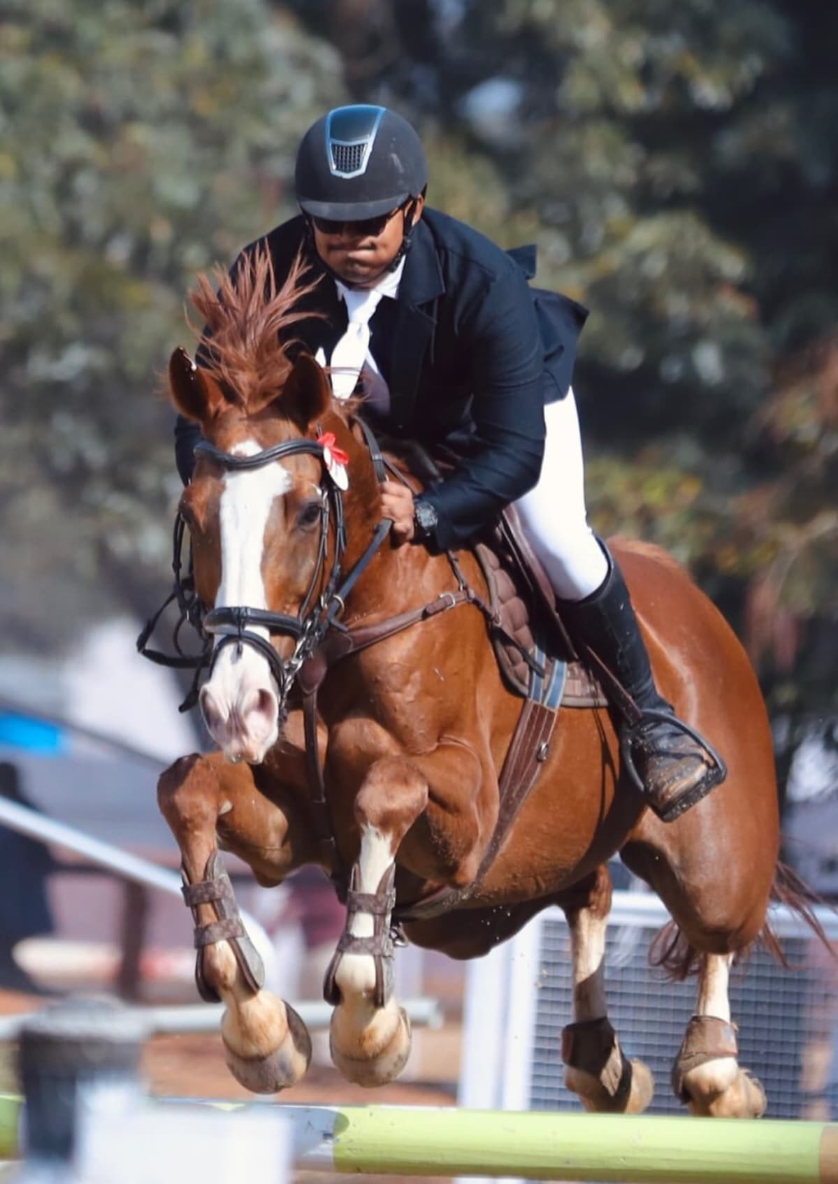Mohd Hasham — 1st, Show Jumping — Open - 80 CM