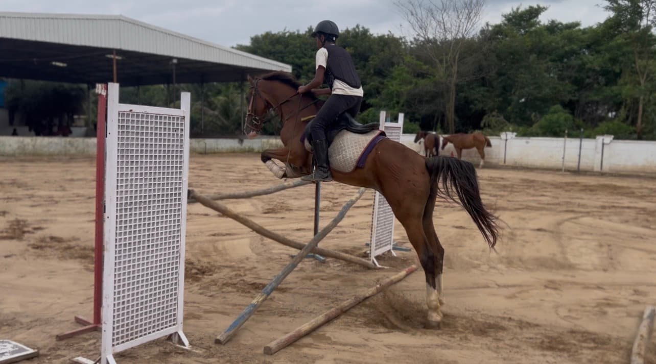 Moksh — 2nd, Show Jumping — Under-14 - 60 CM
