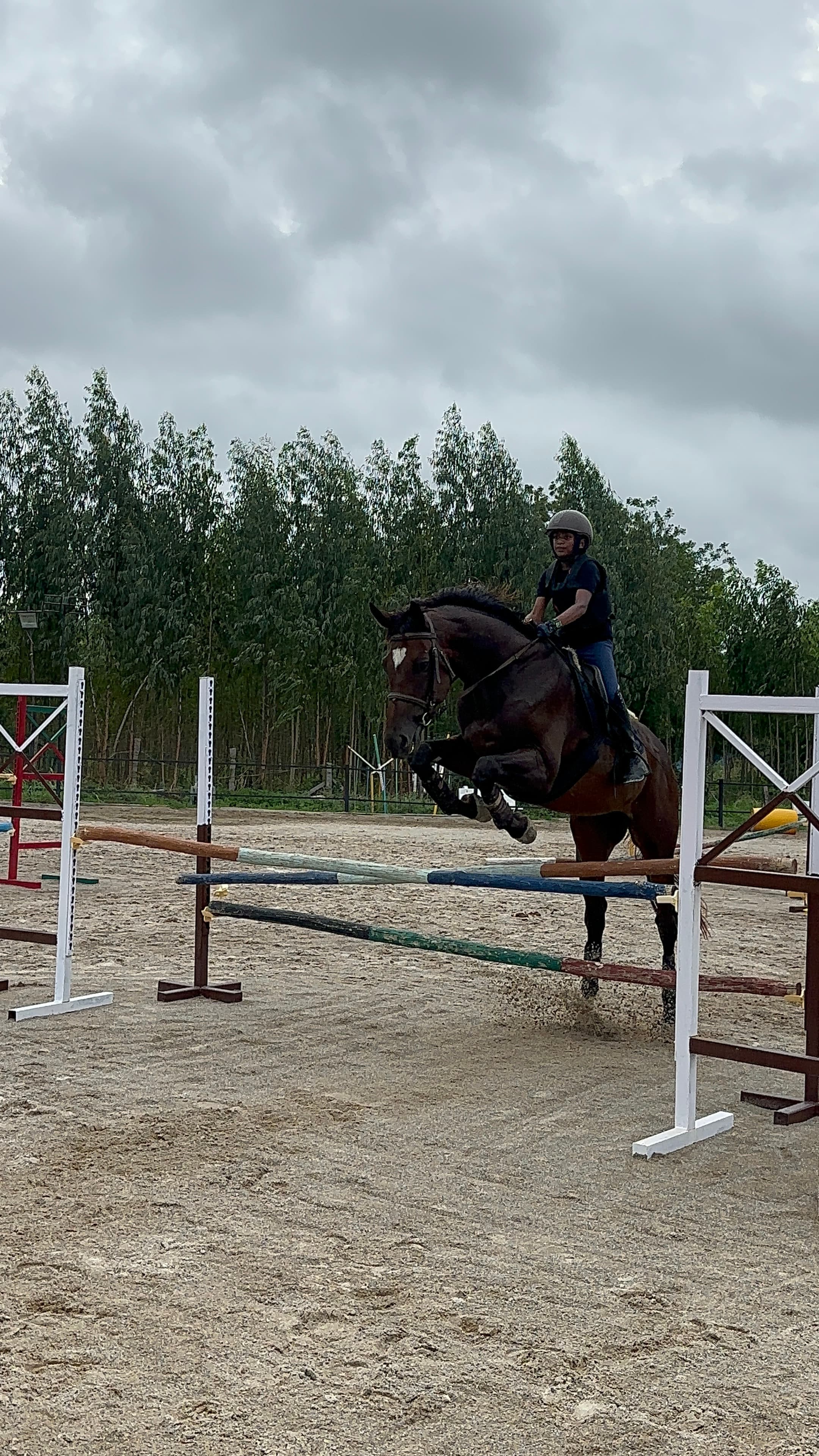 Naag Hridhaan Mulugu — 1st, Show Jumping — Under-12 - 40 CM