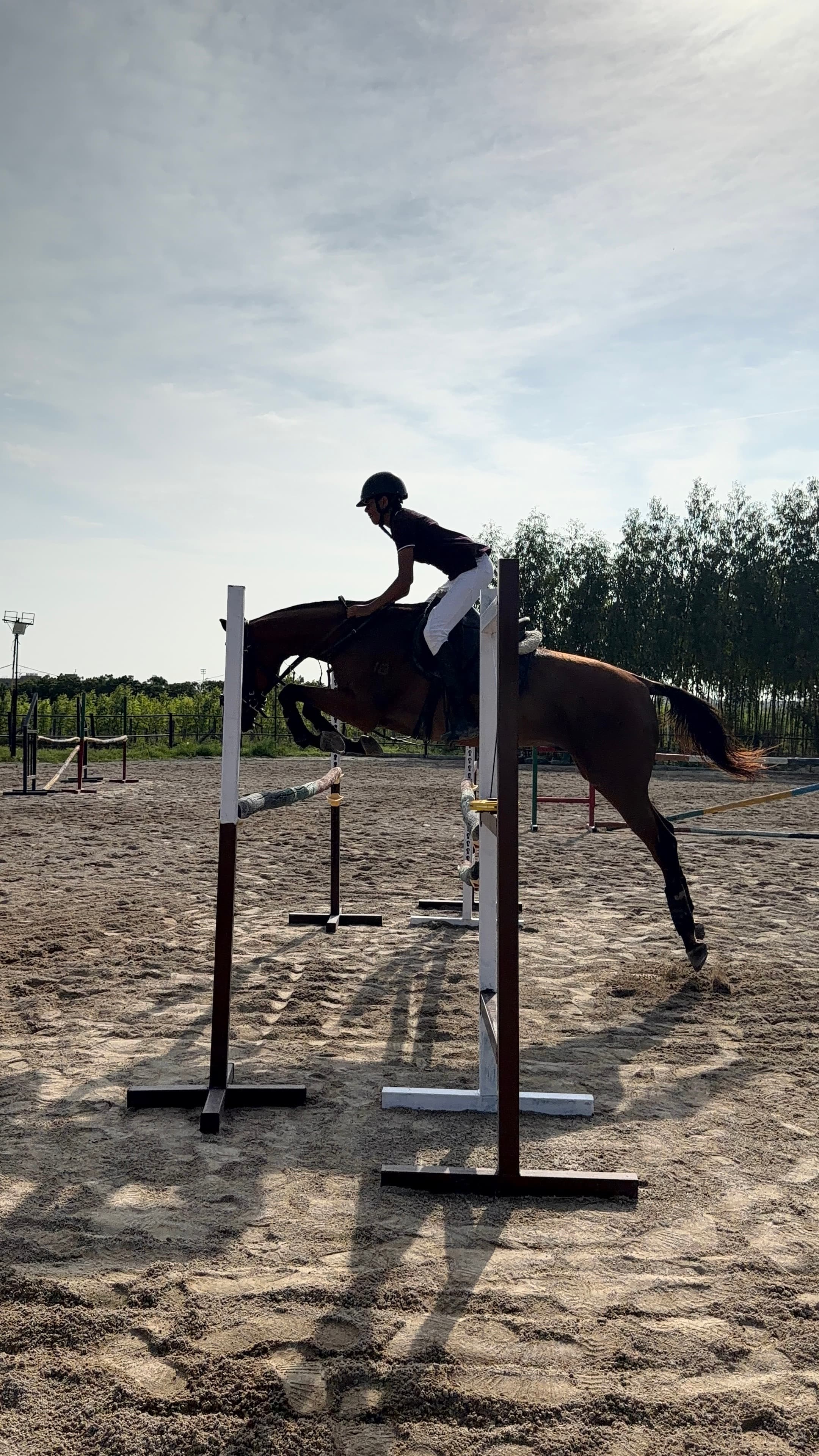 Penumutchu Arnav Sri — 2nd, Show Jumping — Open - 80 CM