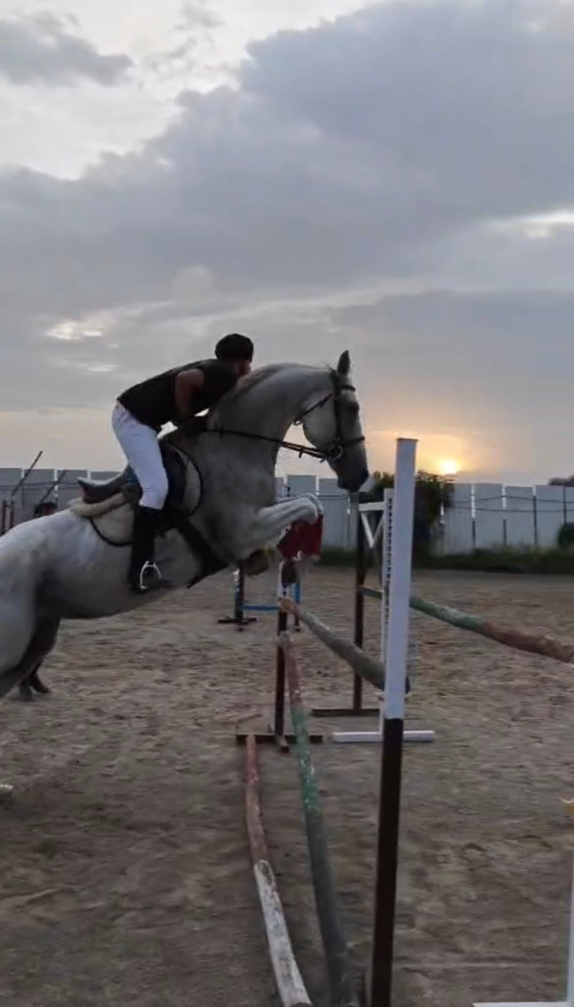 Raajvir Singhh — 3rd, Show Jumping — Open - 90 CM