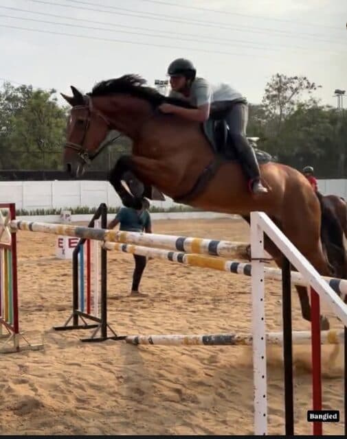 Aarnav Reddy — 1st, Show Jumping — 80–90 cm, Open