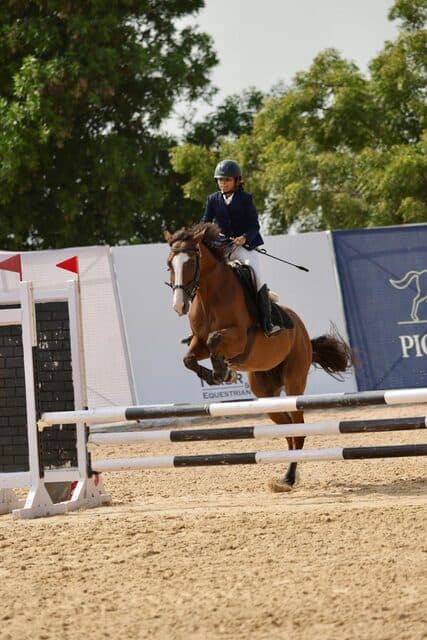 Anet Castilino — 2nd, Dressage — Junior