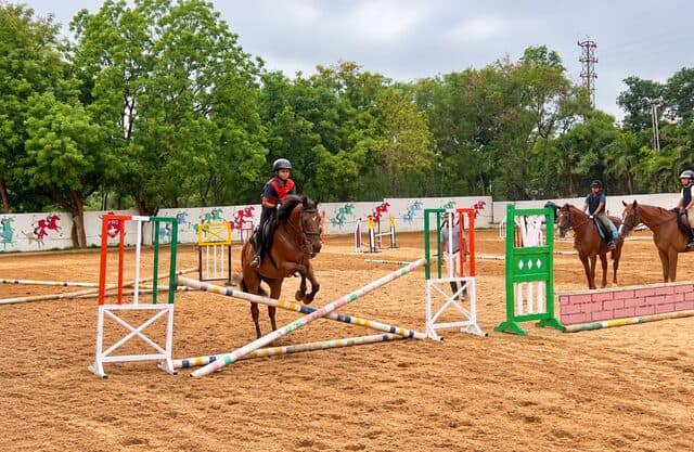 Luv Manne — 2nd, Show Jumping — 40 cm, Under 12