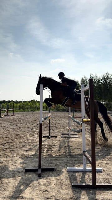 Sanjay Rama Raju — Joint 2nd, Show Jumping — 100–105 cm, Open