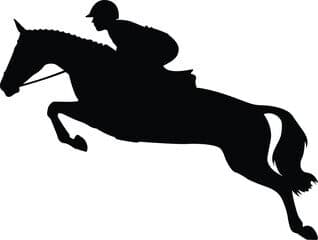 Venkat Nadh — 2nd, Show Jumping — 80–90 cm, Open