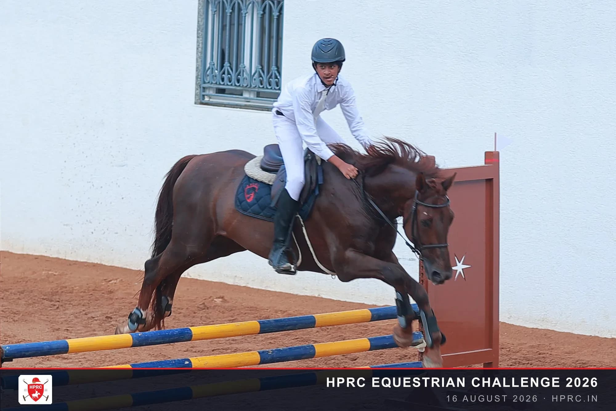 Day 3 · Evening — Show Jumping 80 cm & 90 cm