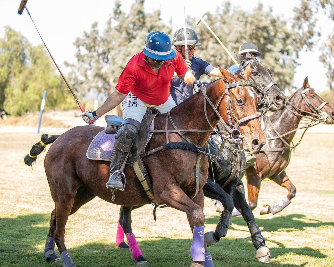 HPRC represents India at the 2024 USA-India arena polo challenge